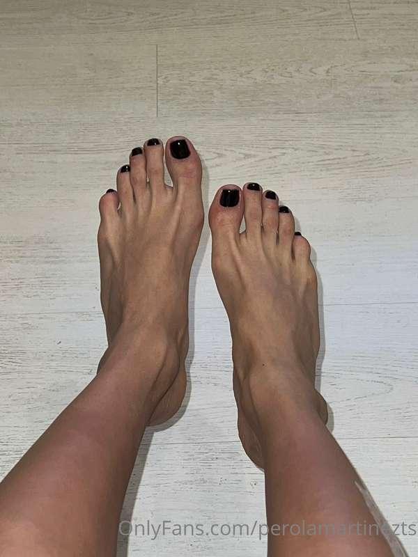 perolamartinezts image #0