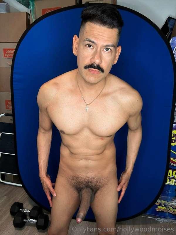 hollywoodmoises image #1