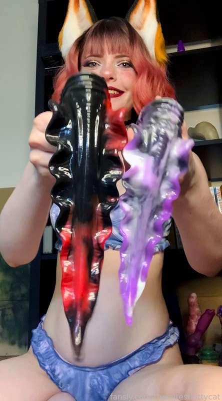 thecutestkittycat image #0