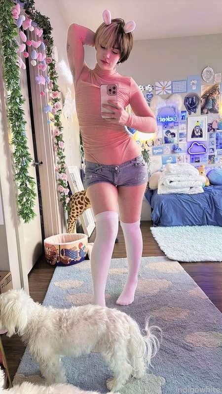 indigowhite image #49