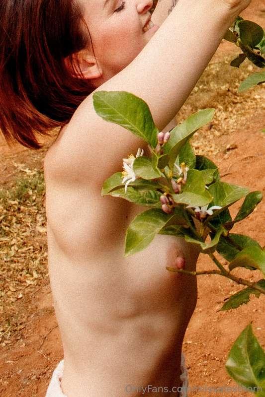 missalexthorn image #3