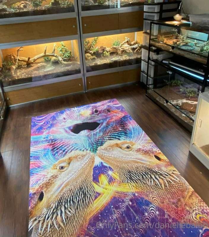 For my lizard fam this is the "home renovation" project I've..