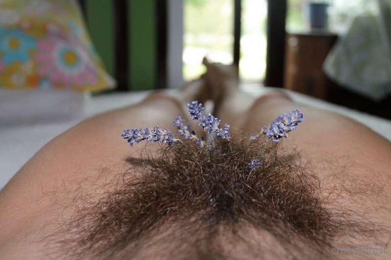 Lovely lavender bush 😍
