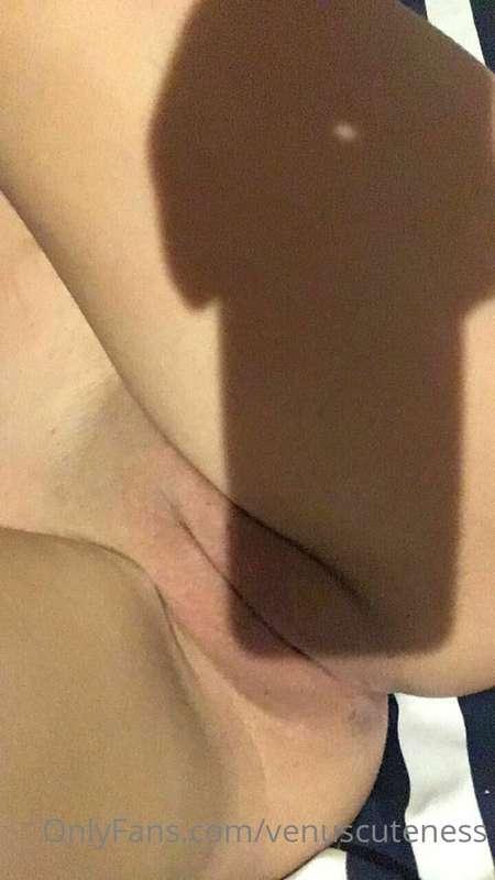 venuscuteness image #2