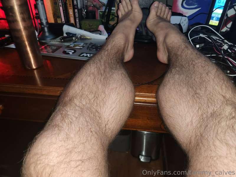 tommy_calves image #0