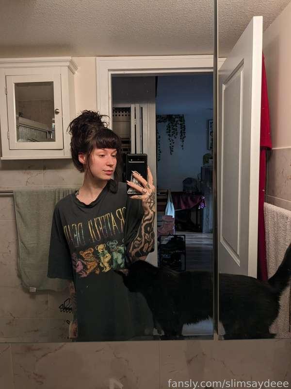 A very interested kitty