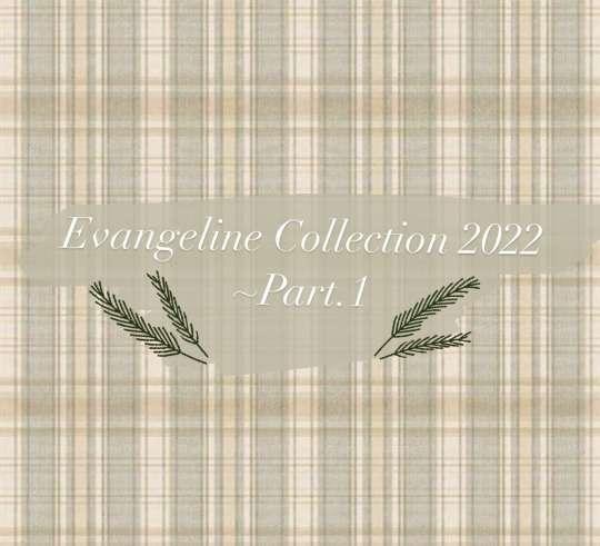 ˗ˏˋEvangeline 2022 ~ part.1 ˎˊ˗