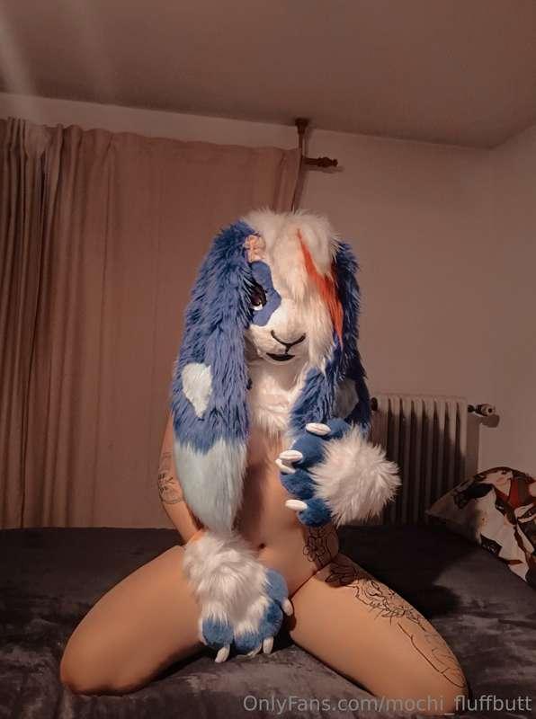 Bunny is ready 🥵🐰