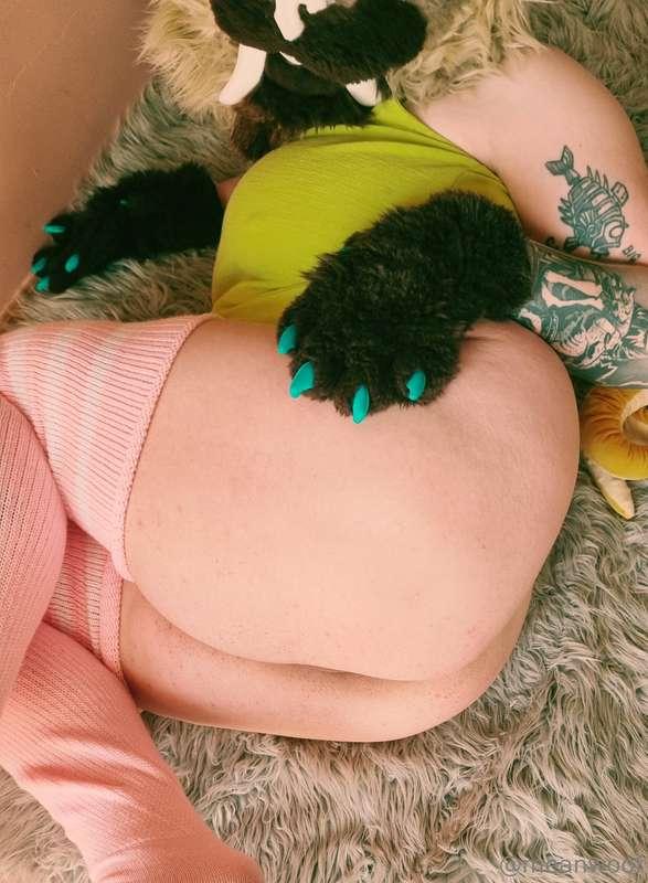 Which view is better for You? :}