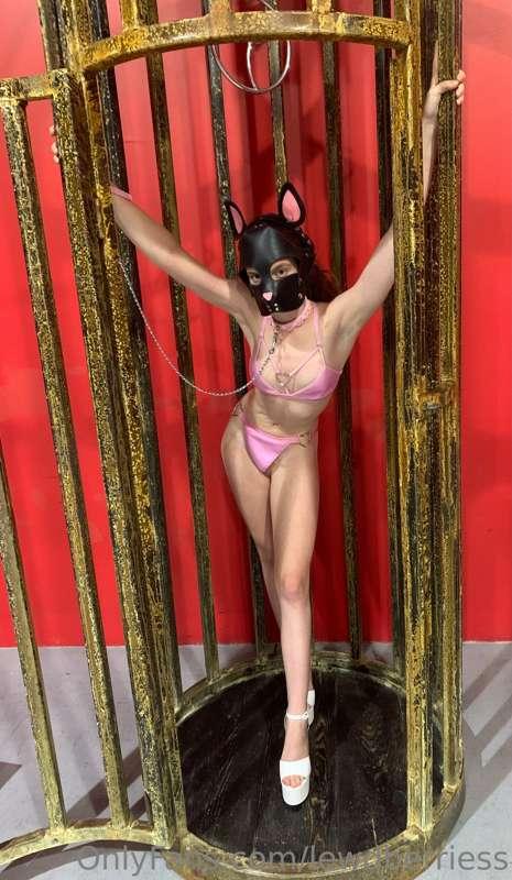 Can’t cage this kitty 💜😈 Little extra BDSM fun ⛓