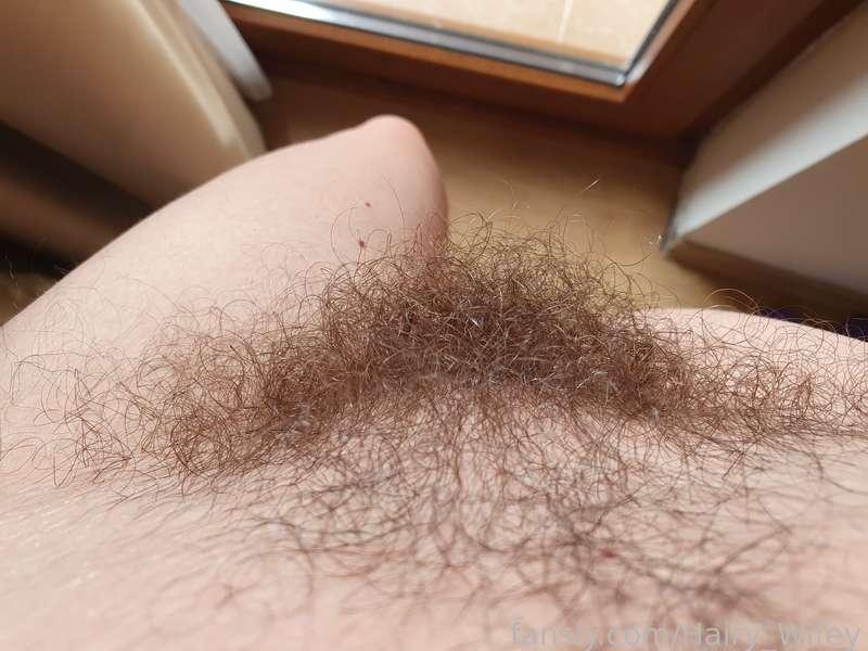hairy_wifey image #1