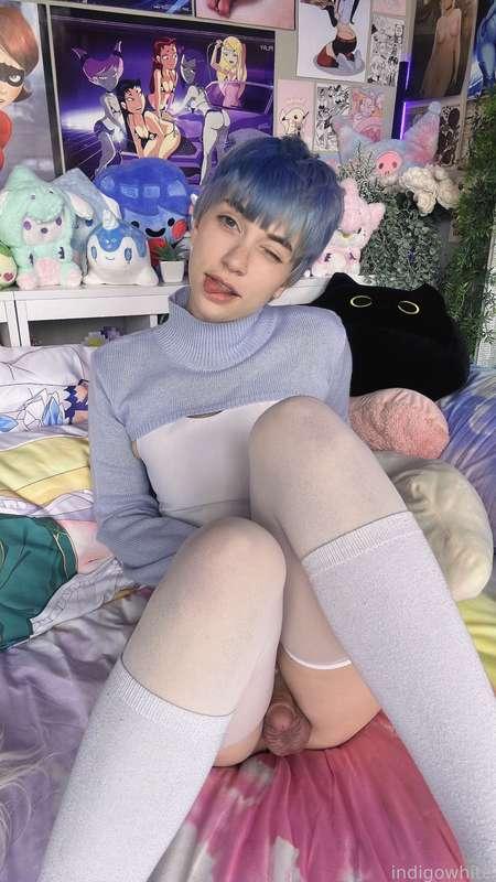 indigowhite image #300