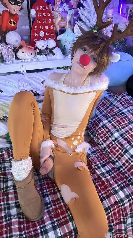 indigowhite image #27