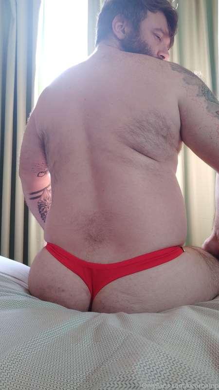bearpamp image #3