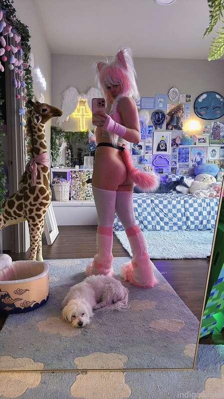 indigowhite image #246