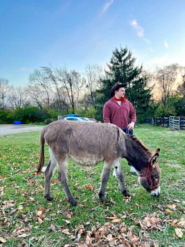 tomthetanktx3 image #1