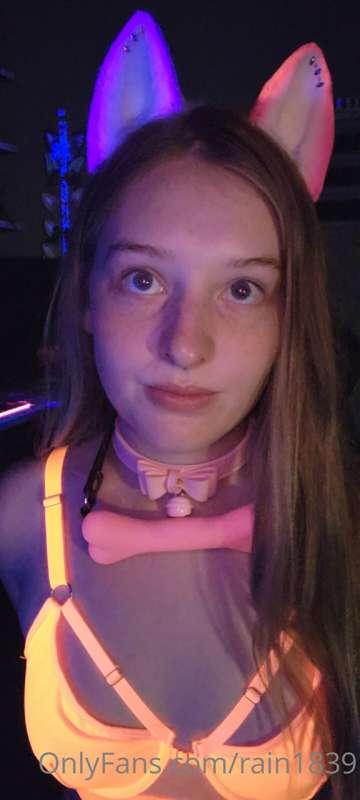 Look kitten glows!