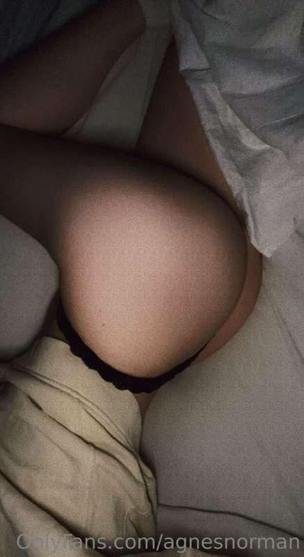 agnesnorman image #0