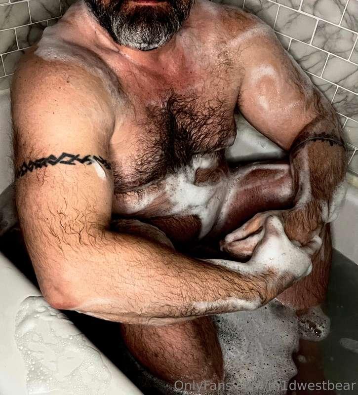 m1dwestbear image #0