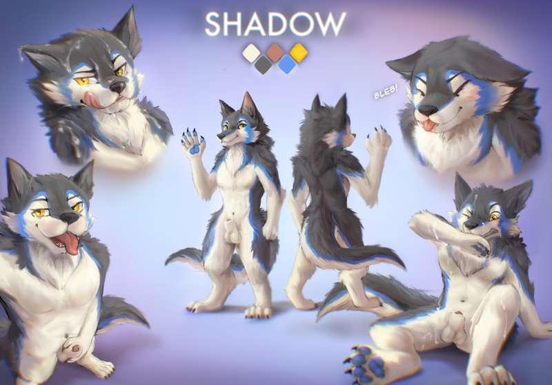 (CM) Shadow Sheet