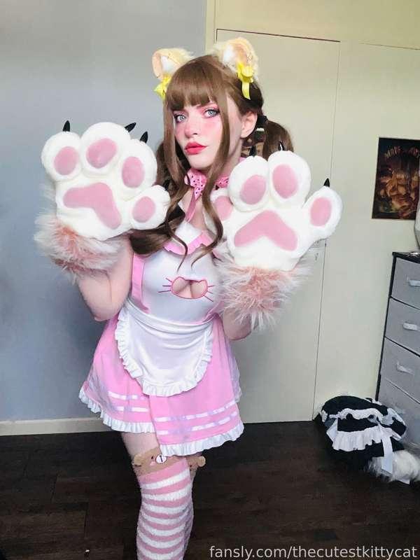 thecutestkittycat image #4