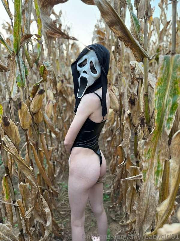 Spooky season means spooky sex🤤🥵