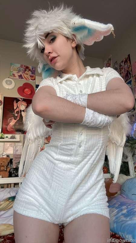 indigowhite image #243