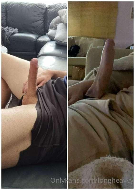 Who won? Dog got a bit curious 😂😂