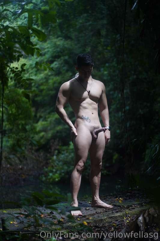 Exhibitionist