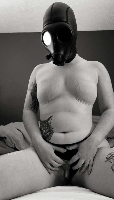 fabledfaun image #3