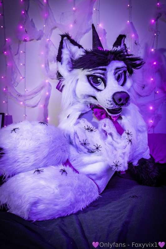 Spooky season is upon us 🕸