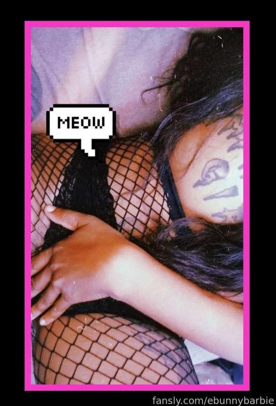 Play with my kitty