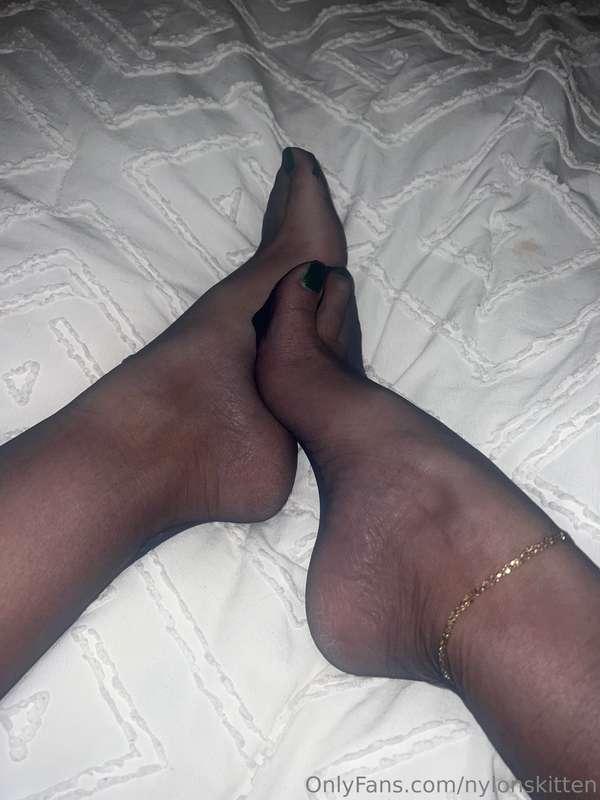 nylonskitten image #2