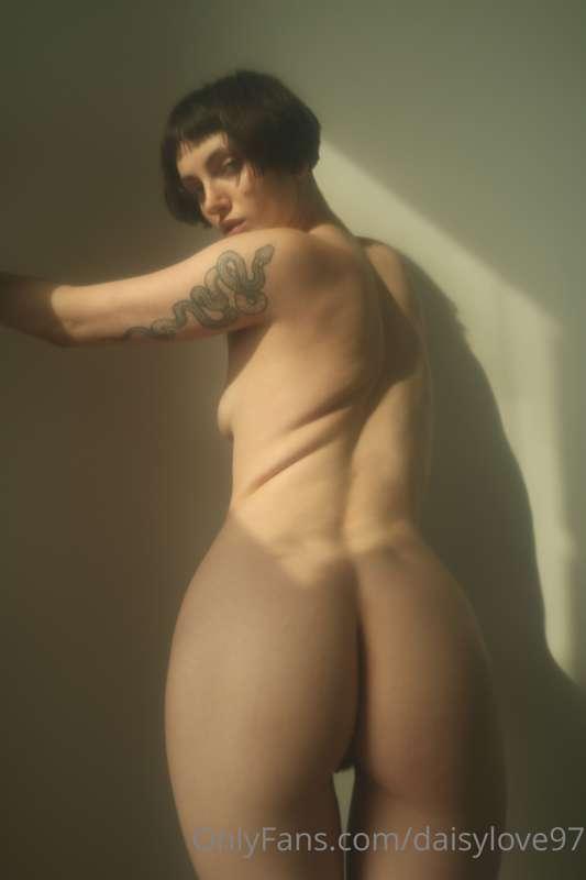 daisylove image #1