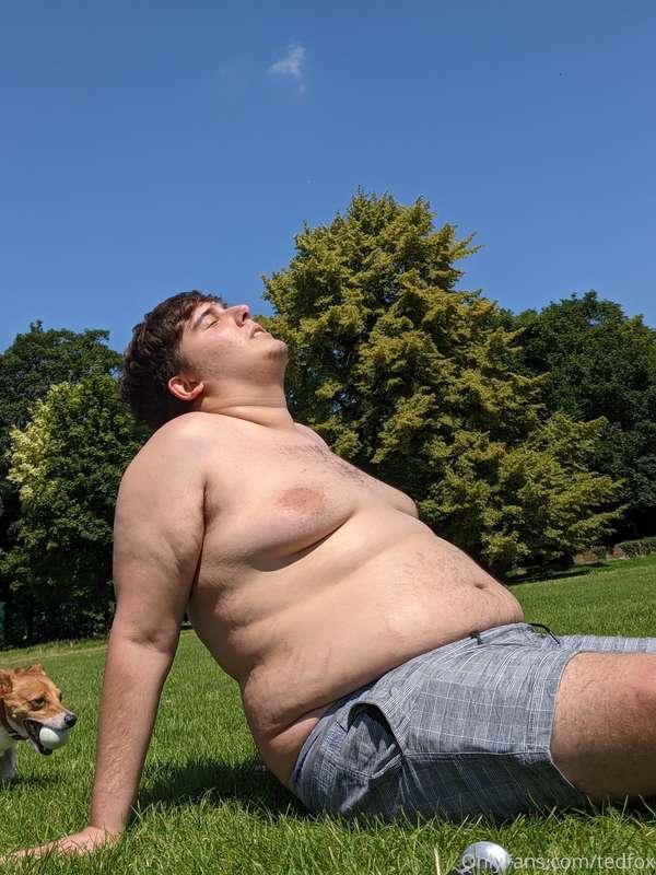 tedfoxgains image #0