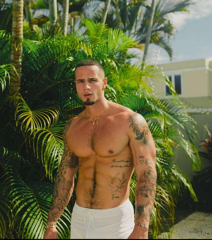 Paradise or Papidise?🔥