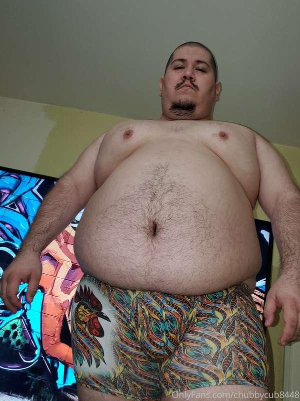 chubbycub8448 image #19