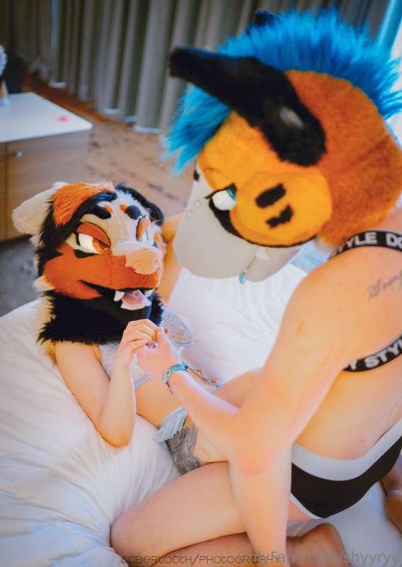 uh oh two puppies in a hotel room... what's going to happen ..