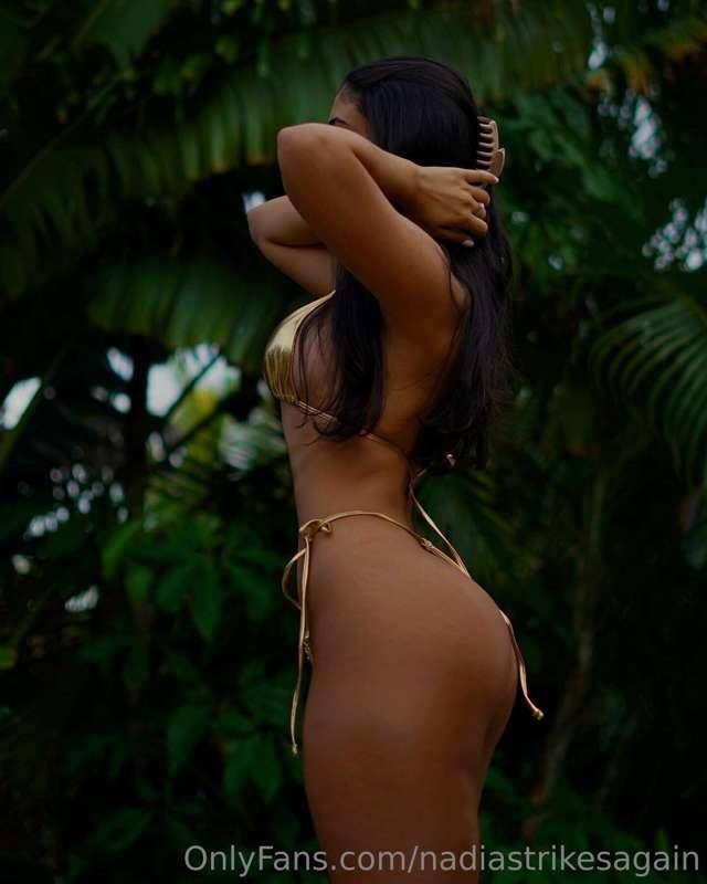🌿🐆🌿