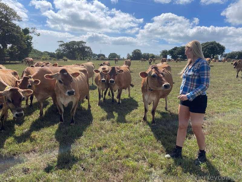 Happy to see the sun return! ☀️