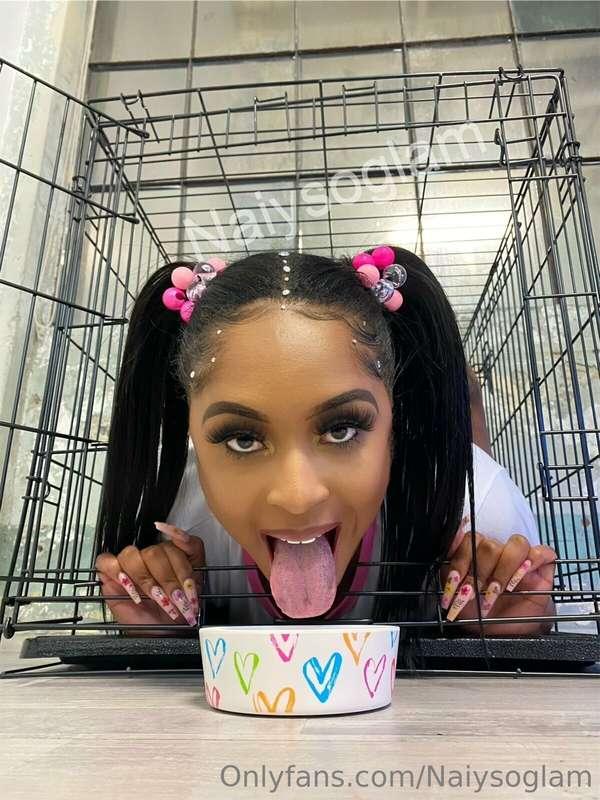 Message “BITCH” for the full video 🐶