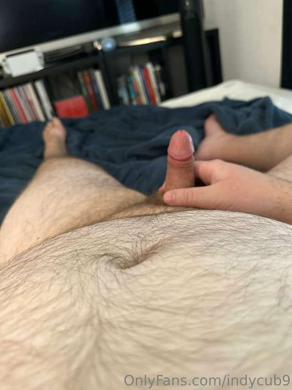 indycub9 image #0