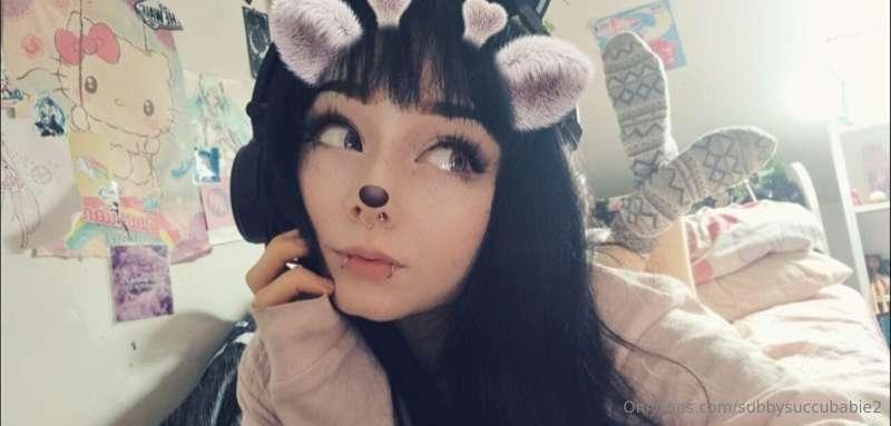 little bunny