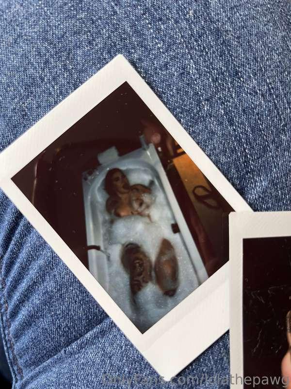 lolathepawg image #0