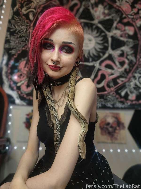 thelabrat image #4
