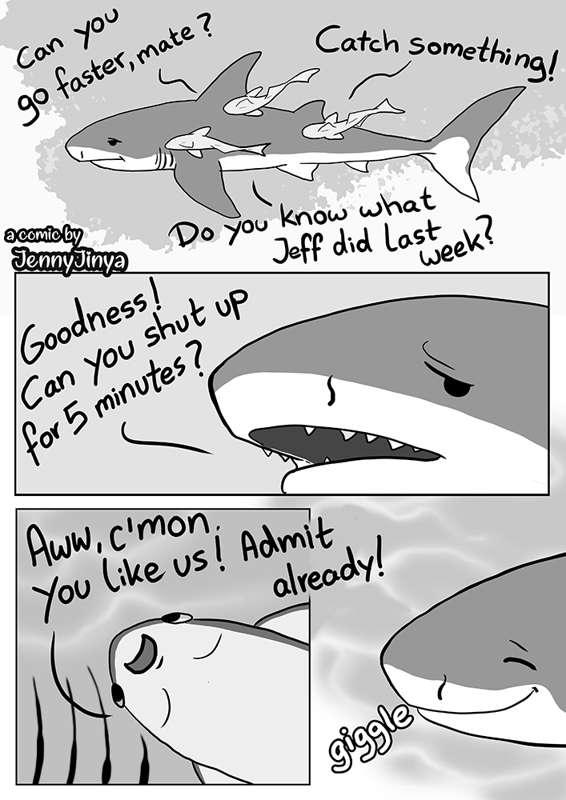 #sharkweek 