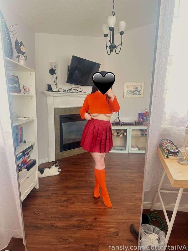 CottontailVA image #7