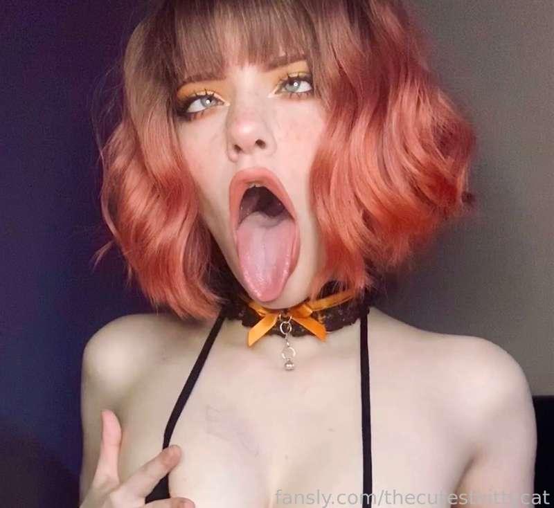 thecutestkittycat image #2