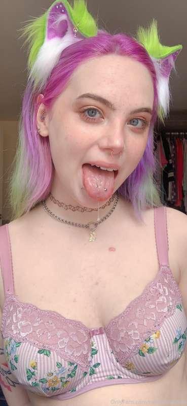 🐱🐱🐱