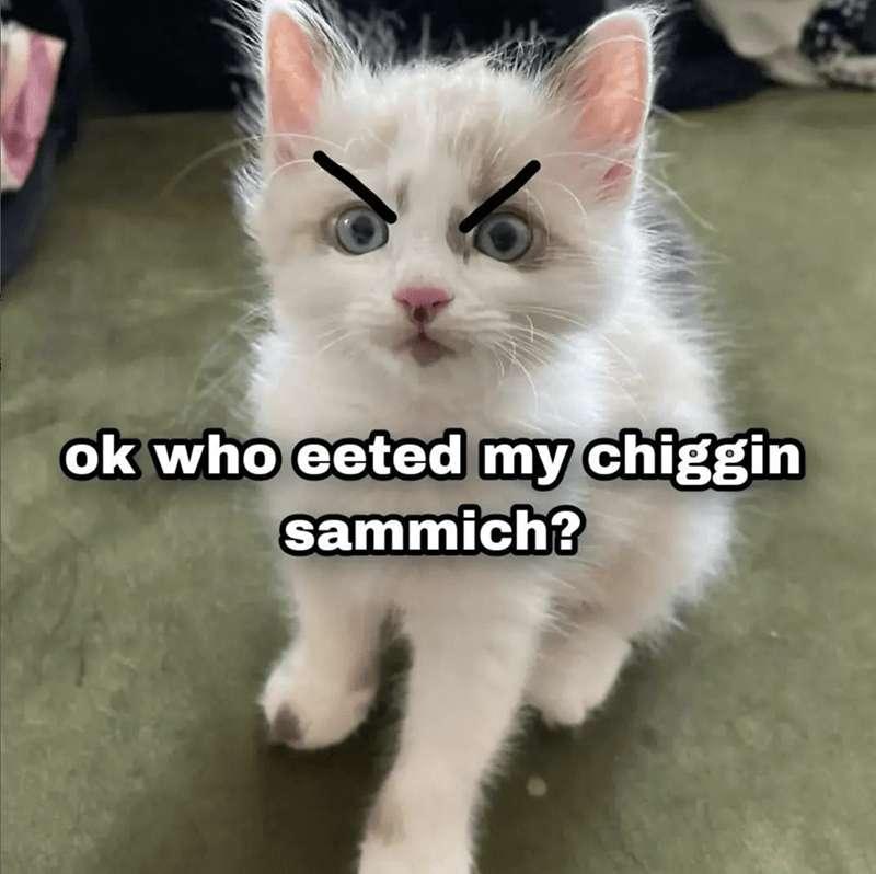 Who did it~!?